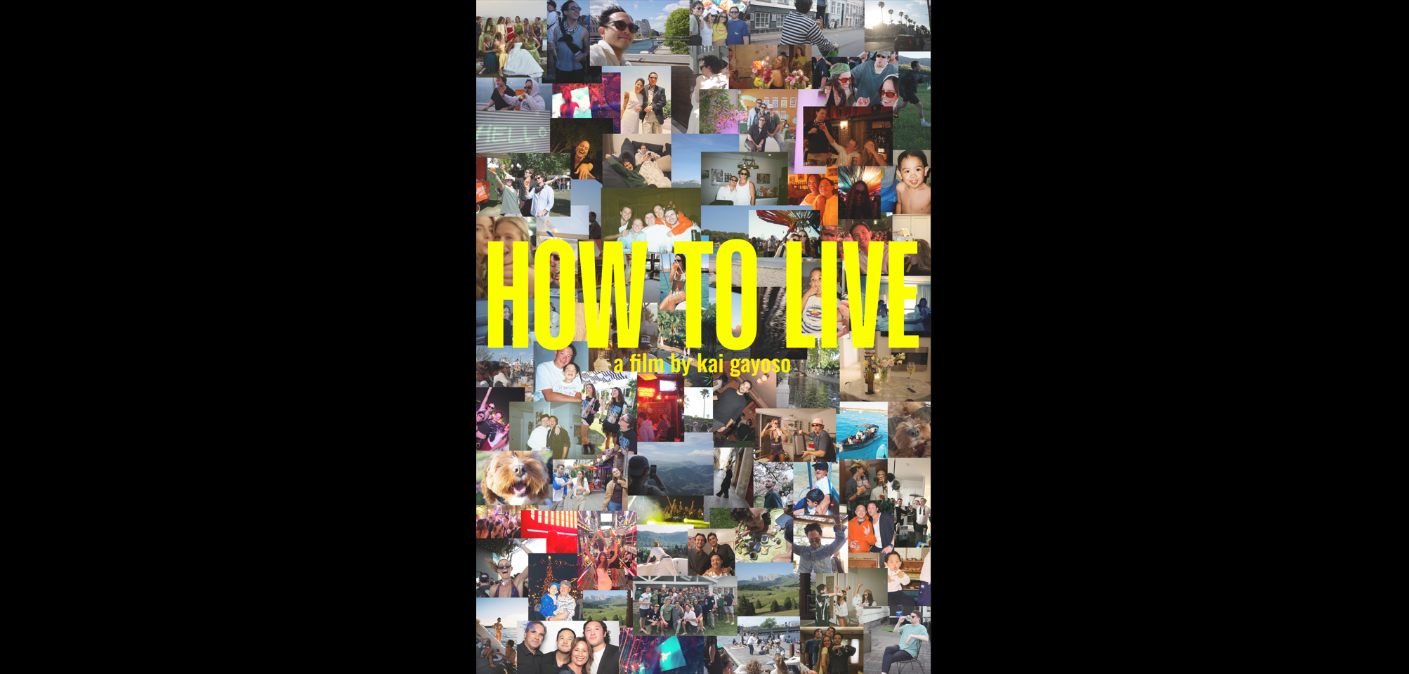 HOW TO LIVE CV WEBSITE