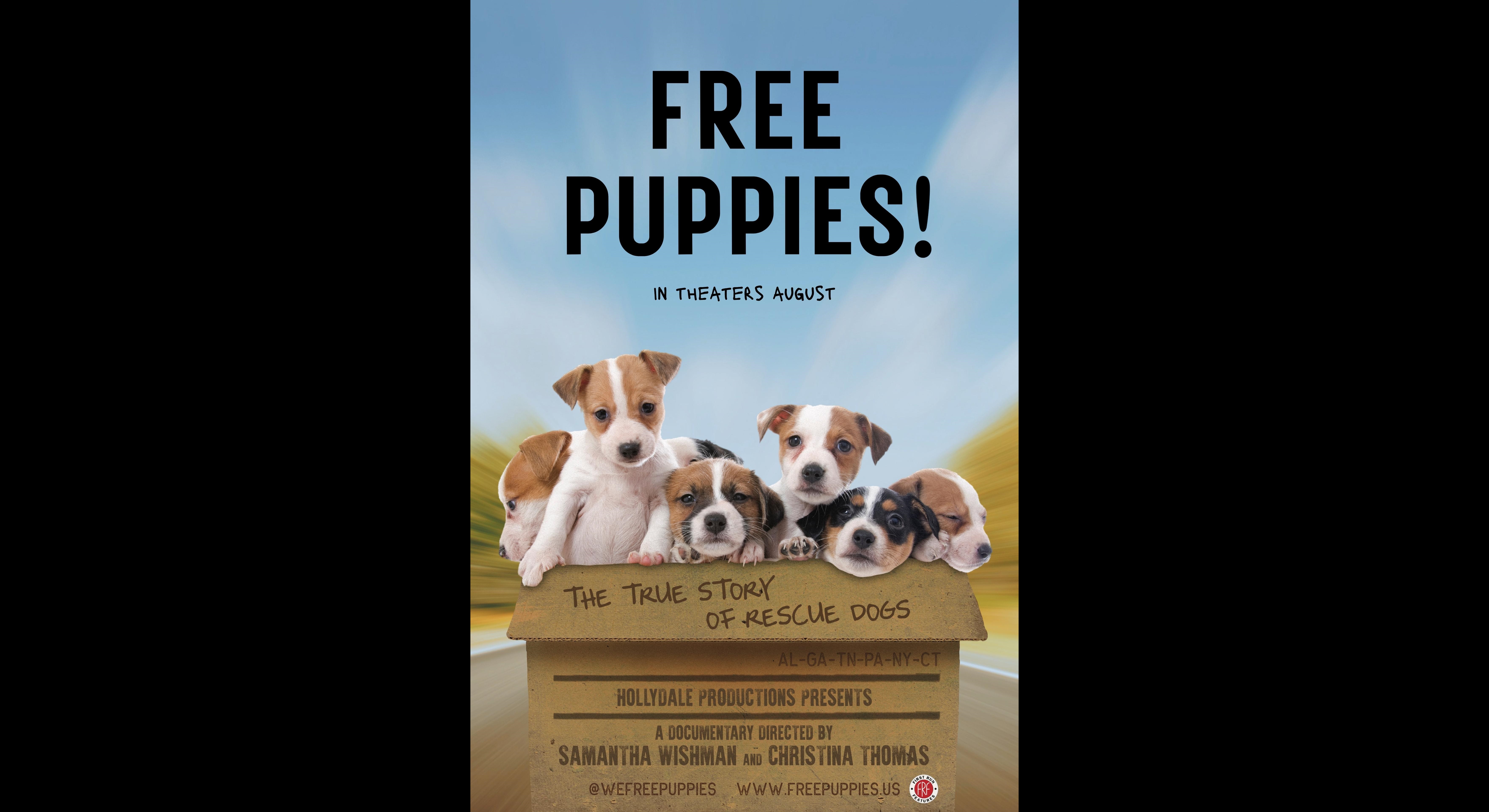 Free Puppies!_Theatrical
