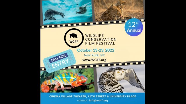 WILDLIFE CONSERVATION FILM FESTIVAL October 14 - October 20