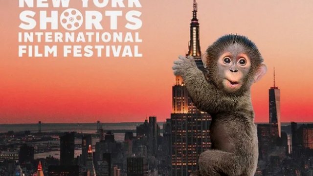 NEW YORK SHORTS INTERNATIONAL FILM FESTIVAL 2023