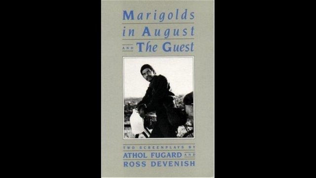 Marigolds in August (African Diaspora FF)