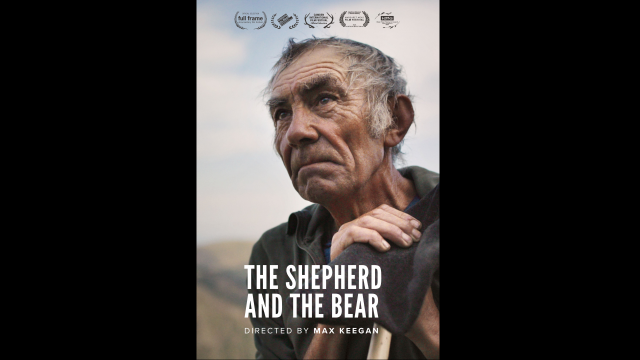 Q&As - THE SHEPHERD AND THE BEAR