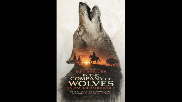 Q&AS - In the Company of Wolves: An American Journey 