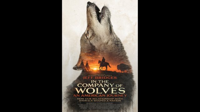 In the Company of Wolves: An American Journey